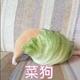 Tiyania头像