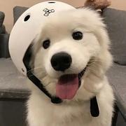 hakunamatata697的个人资料头像