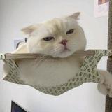 用户947037739335头像