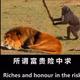 可乐头像