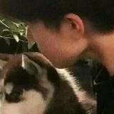 俊俏小羊jmI头像