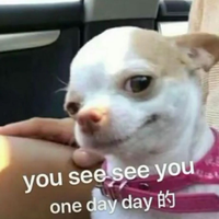 卡卡罗特7675头像