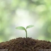 欧阳建辉的个人资料头像