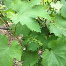 zeb55611的个人资料头像