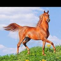 缤纷明镜cI头像