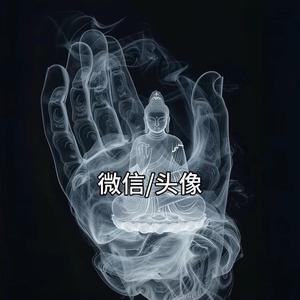 海内存知己头像