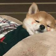 无情小方的个人资料头像