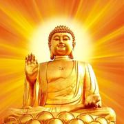 adcold的个人资料头像