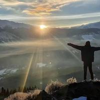 小肥聊车价头像