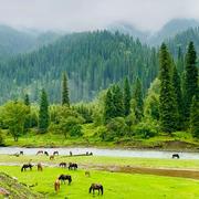 醅酒道寻常的个人资料头像