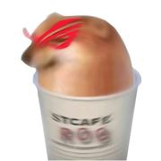 heyCHEEMS的个人资料头像