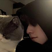 Zik8的个人资料头像