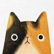 hello863的个人资料头像