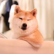 Aprilskysky的个人资料头像