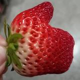 测家教就看出来了头像