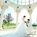 分秒必争艺术家ldy头像