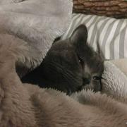 阿珂132的个人资料头像