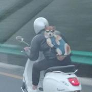 半岛铁壳的个人资料头像