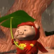 没有自行车的鱼的个人资料头像