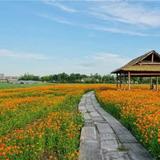 一路花开一路摘头像