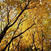 一九九七的个人资料头像