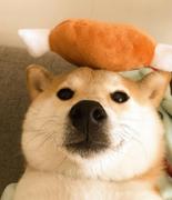 听妈妈的话a的个人资料头像