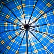 普叶_的个人资料头像