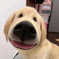 眯眯眼都是怪物阿头像