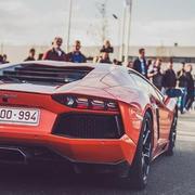 Ecarus的个人资料头像