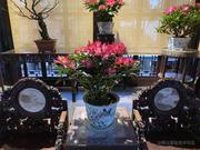 亦弄的个人资料头像