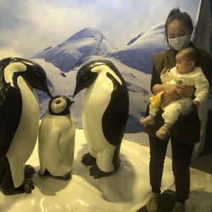豆瓣酱小妮子头像