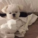 柒柒爱学习89990的个人资料头像