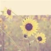 毛克儿的个人资料头像