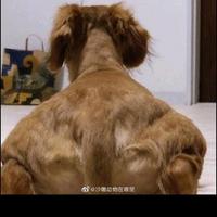 还没玩明白👍头像