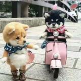 流年65611头像