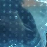 用户1529261530150头像
