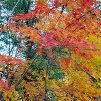 用户3381297911828头像