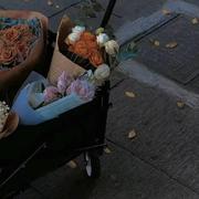 菜菜的小熊的个人资料头像