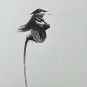 201824111202的个人资料头像