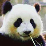 狂晃人间头像