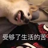 一拳下去哭很久头像
