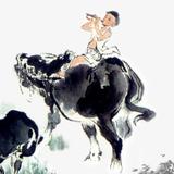 闲云野鹤owFl头像