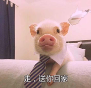 holiday静静呀的个人资料头像