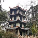 花生米zs头像