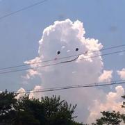 陈又来的个人资料头像