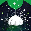 lythe的个人资料头像