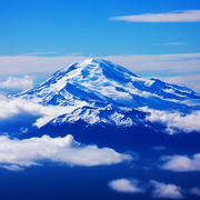 MTB的个人资料头像