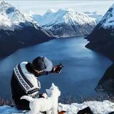 上进奶酪cq头像