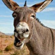 用户6331216852的个人资料头像