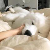 用户2728009079960头像
